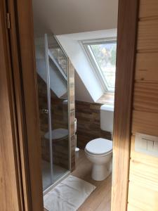 a bathroom with a toilet and a window at Apartmaji in sobe Tina in Kranjska Gora