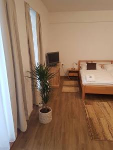 ein Schlafzimmer mit einem Bett und einer Topfpflanze in der Unterkunft Apartmán B 101 Vysoké Tatry in Starý Smokovec + 33 Fotos