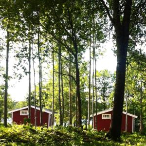 una cabaña roja en el bosque con árboles en Eksjö Camping & Konferens en Eksjö