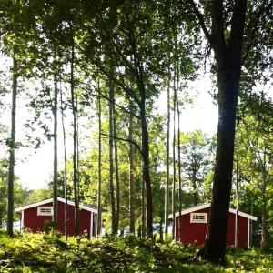 Zahrada ubytování Eksjö Camping & Konferens