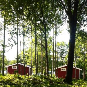 a red cabin in the woods with trees at Eksjö Camping & Konferens in Eksjö