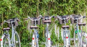 a row of bikes parked in front of a wall at Hotel Les Bois Flottais in Le Bois-Plage-en-Ré