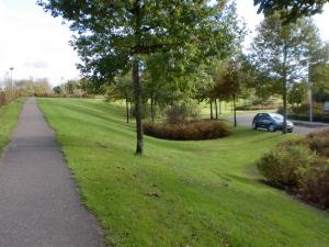 a car parked in a park next to a tree at B&B de Droomgaard in Kerkdriel