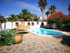 a swimming pool in a yard with palm trees at Finca el Castillo in Buenavista del Norte