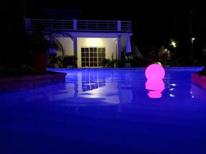 Bazén v ubytování Coral Blanco Hotel nebo v jeho okolí
