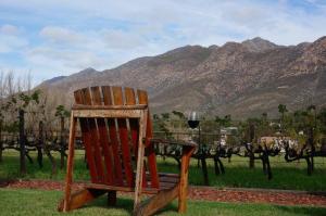 a wooden chair sitting in the grass with a glass of wine at Long Acres Cottages in Montagu +6 photos