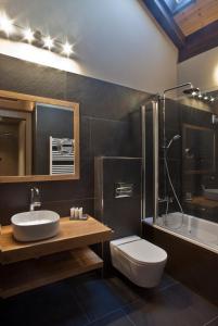 ein Bad mit einem Waschbecken, einem WC und einer Dusche in der Unterkunft Hotel Boutique La Neu in Benasque