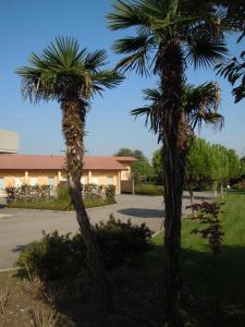 two palm trees in front of a building at Hotel Motel Fiore in Fiorenzuola dʼArda