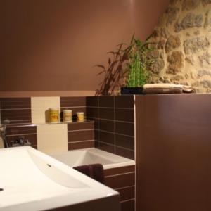 a bathroom with a sink and a tub with a potted plant at Chambres d'Hôtes Les Chaufourniers in Crouay