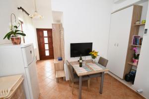 TV a/nebo společenská místnost v ubytování Studio apartman Kris