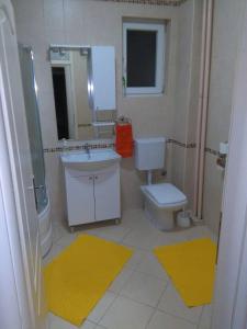 bagno con lavandino, servizi igienici e specchio di Apartment MA a Banja Luka
