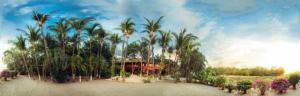 ein Gemälde eines Resorts mit Palmen und einem Gebäude in der Unterkunft Hotel Laguna del Cocodrilo in Tamarindo
