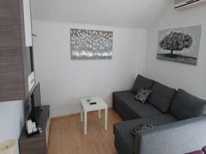 a living room with a couch and a table at Apartments Grazia 111 - Jarun Lake in Zagreb