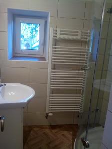 baño con ducha, lavabo y ventana en Ubytování v Ouklidu, en Nedrahovice