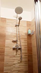 a shower with a shower head in a bathroom at Nice Home to stay at Prague close to Castle with Terrace and Garden in Prague