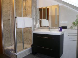 een badkamer met een wastafel en een douche bij Apartment Preising in Willingen