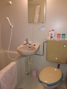 a bathroom with a sink and a toilet and a mirror at Shikino Yado Subaru in Chino