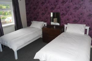 two beds in a room with a purple wall at Princetown Cottage in Nant-y-bwch