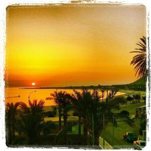 a sunset over a beach with palm trees and the ocean at Casa "da Paola" in San Vito lo Capo