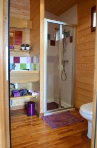 a bathroom with a shower and a toilet at Rosalie in Fiquefleur-Équainville
