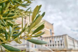 Fotografie z fotogalerie ubytování Tenuta Lama Gorga v destinaci Trani