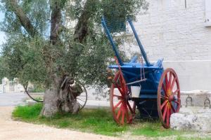 Fotografie z fotogalerie ubytování Tenuta Lama Gorga v destinaci Trani