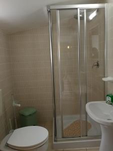 a bathroom with a shower and a toilet and a sink at Lagos City Center Guest House & Hostel in Lagos