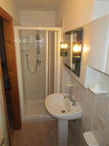 庫蒂利亞諾的住宿－達洛雷諾公寓，一间带水槽和淋浴的浴室