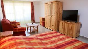 TV a/nebo společenská místnost v ubytování Magyar Apartmanház IV.