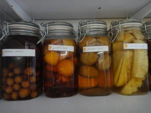 Đồ ăn tại/gần nhà nghỉ B&B