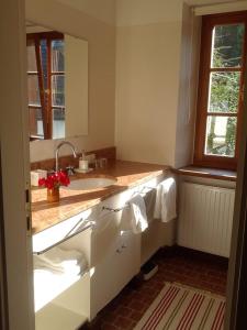 a bathroom with a sink and a mirror at Sonnwirtstöckl am See in Sankt Gilgen