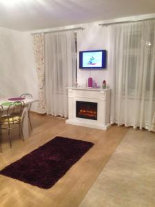 uma sala de estar com televisão e lareira em Xenopol Grand Studio em Sibiu