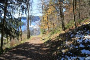a path in the woods with snow on the ground at Wehr Orchidee Apartment in Wehr