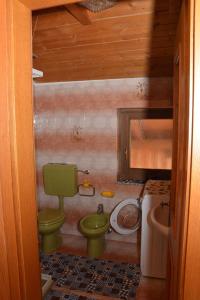 een badkamer met een groen toilet en een wastafel bij Appartamenti Vincenzo E Marcella in Campitello di Fassa