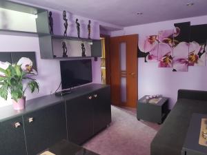Kuchyň nebo kuchyňský kout v ubytování Apartment Alta