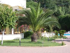 Jardin de l'établissement Grand Hotel Esperia - New Property