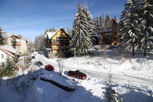 a log cabin in the snow with two cars parked at Sunny Apartment in Predeal