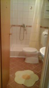 a bathroom with a toilet and a shower and a rug at Apartments Mia in Podgora