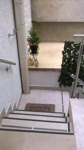 eine Treppe mit einer Topfpflanze darauf in der Unterkunft Apartments Mia in Podgora