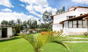 a palm tree in the yard of a house at San Mateo Hotel Campestre in Nobsa