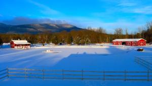 The Kaaterskill að vetri til