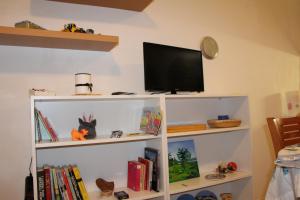 a tv sitting on top of a shelf with books at Apartment Alex in Piran