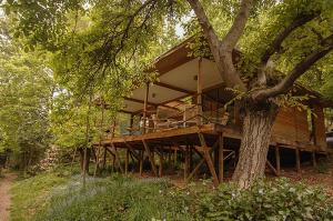 una gran casa de madera en medio de un árbol en Cabañas Nogalia, en San Alfonso