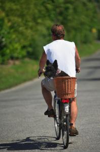 Cykling vid eller i närheten av Camping Haliotis