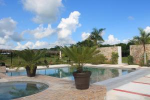 a swimming pool with two palm trees next to it at Real Primaveras Campestre in Escárcega