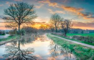 un reflejo de un árbol en un río al atardecer en Brambles Bed and Breakfast, en Tiverton
