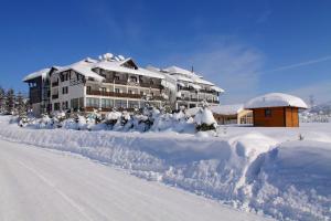 a house covered in snow next to a road at Hotel Olimp in Zlatibor