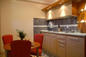 Η κουζίνα ή μικρή κουζίνα στο Hotel Tehnograd