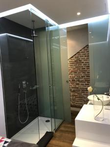 バリャドリッドにあるAIRVA: Apartamento Duque de la Victoriaのバスルーム(ガラス張りのシャワー、シンク付)