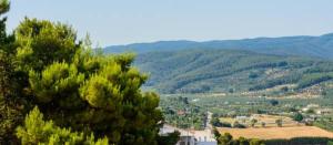 a view of a valley with a house and a tree at B&B Rose Villa in Peschici